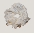 White Lace Scrunchie